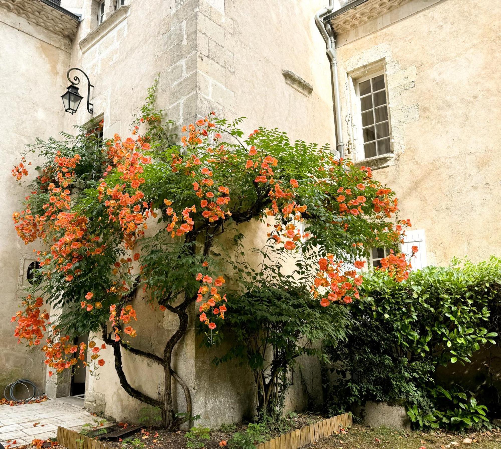 Domaine Labattut Bed & Breakfast Saint-Astier  Dış mekan fotoğraf